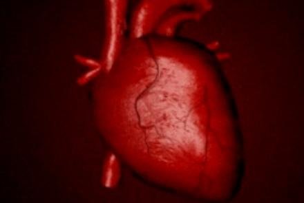 The new heart valves developed using 3D printers